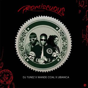 DJ Tunez Promiscuous ft. Wande Coal Libianca